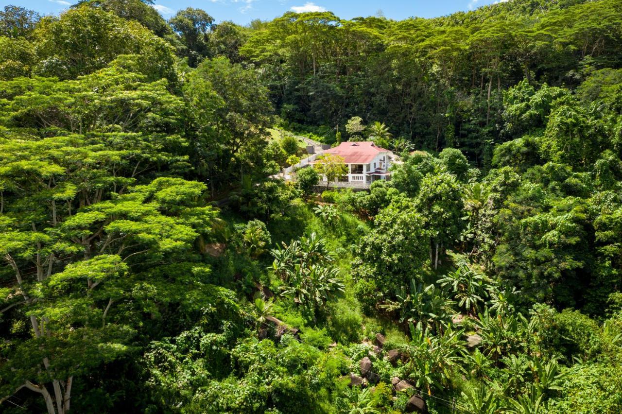 Janes' Serenity Guesthouse Anse a La Mouche Экстерьер фото